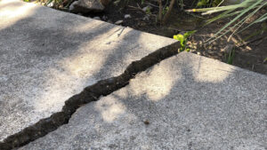 Concrete Sidewalk & Driveway Repair in Plainview, Texas